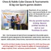 Dadar Chess and Rubiks Cube Academy