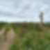 Kernow Klimber