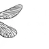 AKTBA