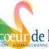 Au Coeur De L'eau