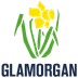 Cricket Wales