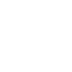 Z-4 DANCING NETWORK