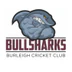 Burleigh Cricket Club