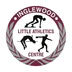 Inglewood Athletics Centre