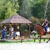 ECURIES DE L AUBOIS