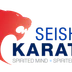 Seishin Karate Brighton - Stanley Deason Leisure Centre