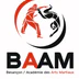 Baam - Besançon Academy Des Arts Martiaux