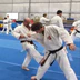 Goju Ryu Karate Do Classes