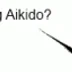 Aikido Shinryukan Canterbury