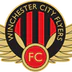 Winchester City Flyers
