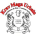 Krav maga Sarcelles