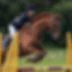Amport Riding School