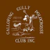 Galloping Gully Polocrosse Club