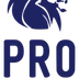 Pro Eleven Football Academy