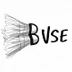 BVSE