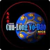 Qi Gong Nice 9 Dragons