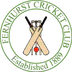 Fernhurst Cricket Club