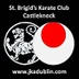 St Brigids Karate Club- Castleknock