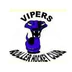 Vipers Roller Hockey Club Inc