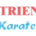 TRI ENERGY KARATE ACADEMY @Kazhipatur OMR