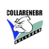 Collarenebri Rugby League Football Club (Barwon Darling Cup)