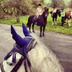 Weeford Stables