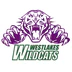 Westlakes Wildcats Football Club