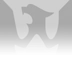 Winnipeg Phoenix FC