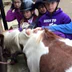 Northbrook Equestrian Centre