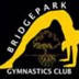 Bridge Park Gymnastics Club