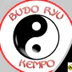 Budo Ryu Karate Academy St Marys 