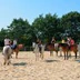 Equestrian Center Mané Guernehué À Baden Gulf Du Morbihan 56