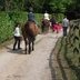Adsborough House Stables