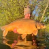 Laroussi Carp Lake