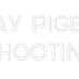 Clay Pigeon Shooting Taster Session