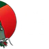Avalon Karate Paradise
