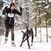 Centre de Ski Mt-Villa Saguenay Inc