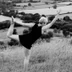 Victoria Austin Yoga Aylesbury