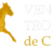 Les Ventes de Trotteurs de Caen