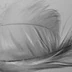 Lbp"La Boîte À Plumes " Yoga Sophrologie Massages