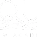 The Aqua Life Swim Academy