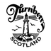 Ayrshire Bulls