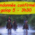 Adventure Horse - Point Departure Hiking