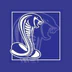 Sandown Cobras Football Netball Club