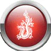 Zen Do Kai Martial Arts - Gatton