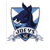 Joeys Soccer Club