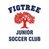 Figtree Junior Soccer Club