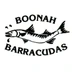 Boonah Swimming Club