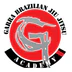 Garra Brazilian Jiu Jitsu Academy Darra