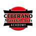 Ceberano Martial Arts Academy - Hawthorn